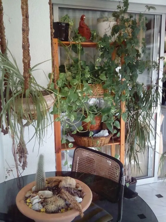 Ferienwohnung Ana De Viya Cádiz